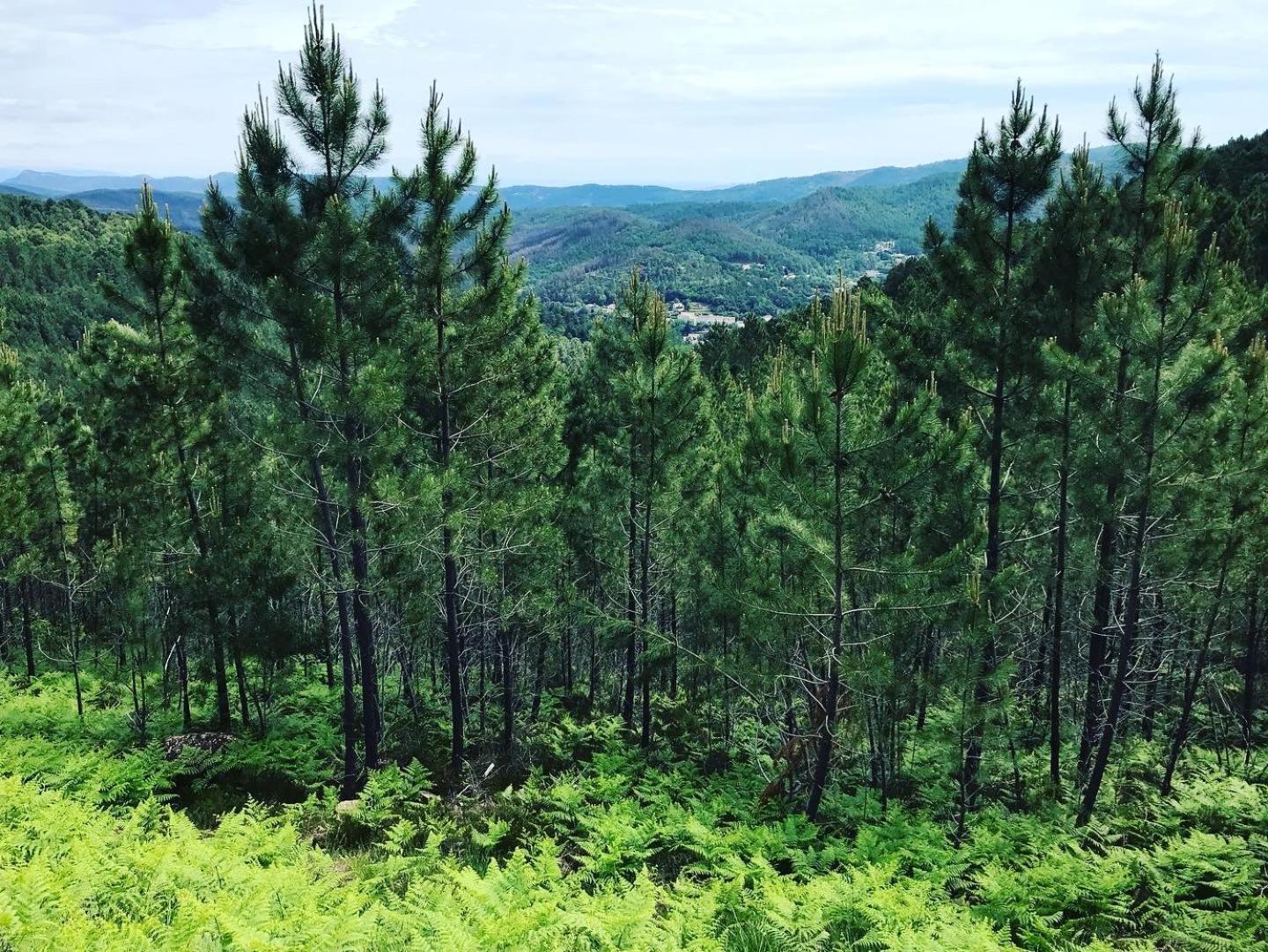 Besseges Detente Au Coeur Des Cevennes מראה חיצוני תמונה
